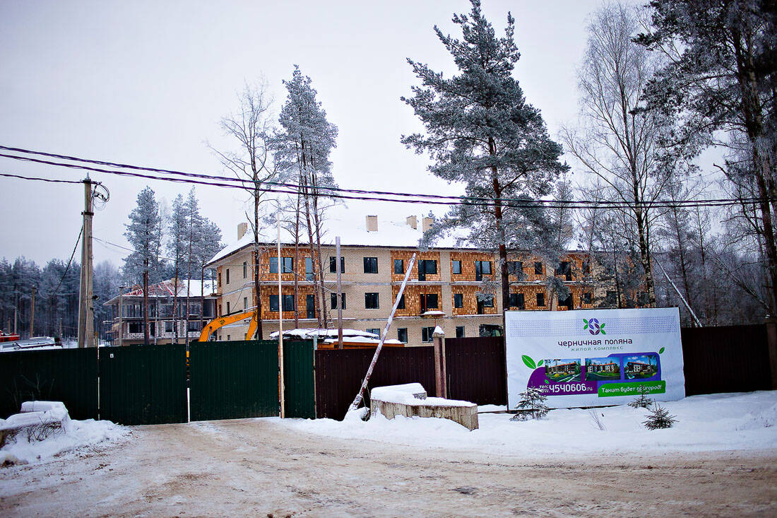 Поляна трейдинг